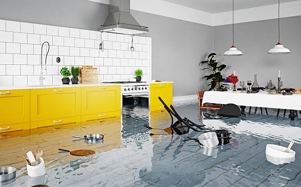 What to Expect from an Expert Water Damage Restoration Company in Palmdale, CA