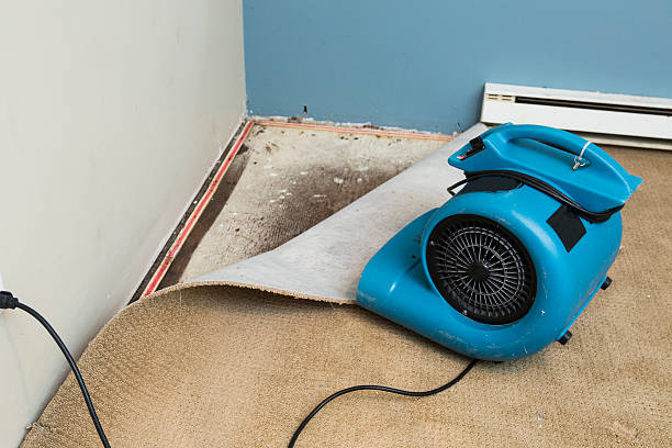 Step by Step Process of Best Water Damage Restoration Services in Palmdale, CA
