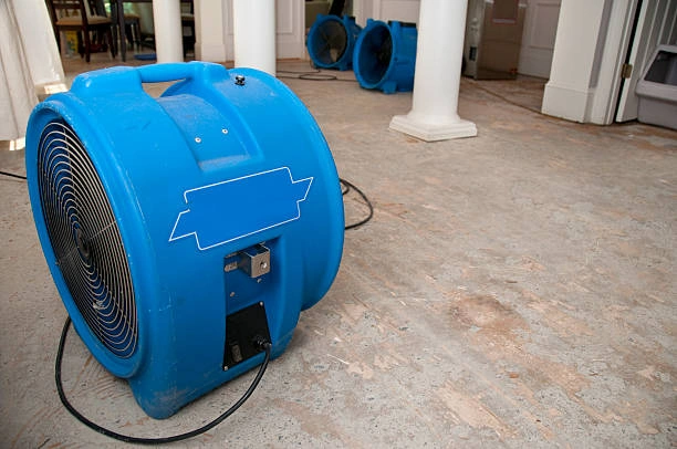 What to Expect from Water Damage Restoration in Leona Valley