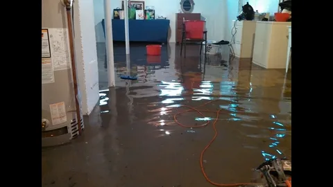 Reliable Water Damage Restoration Services
